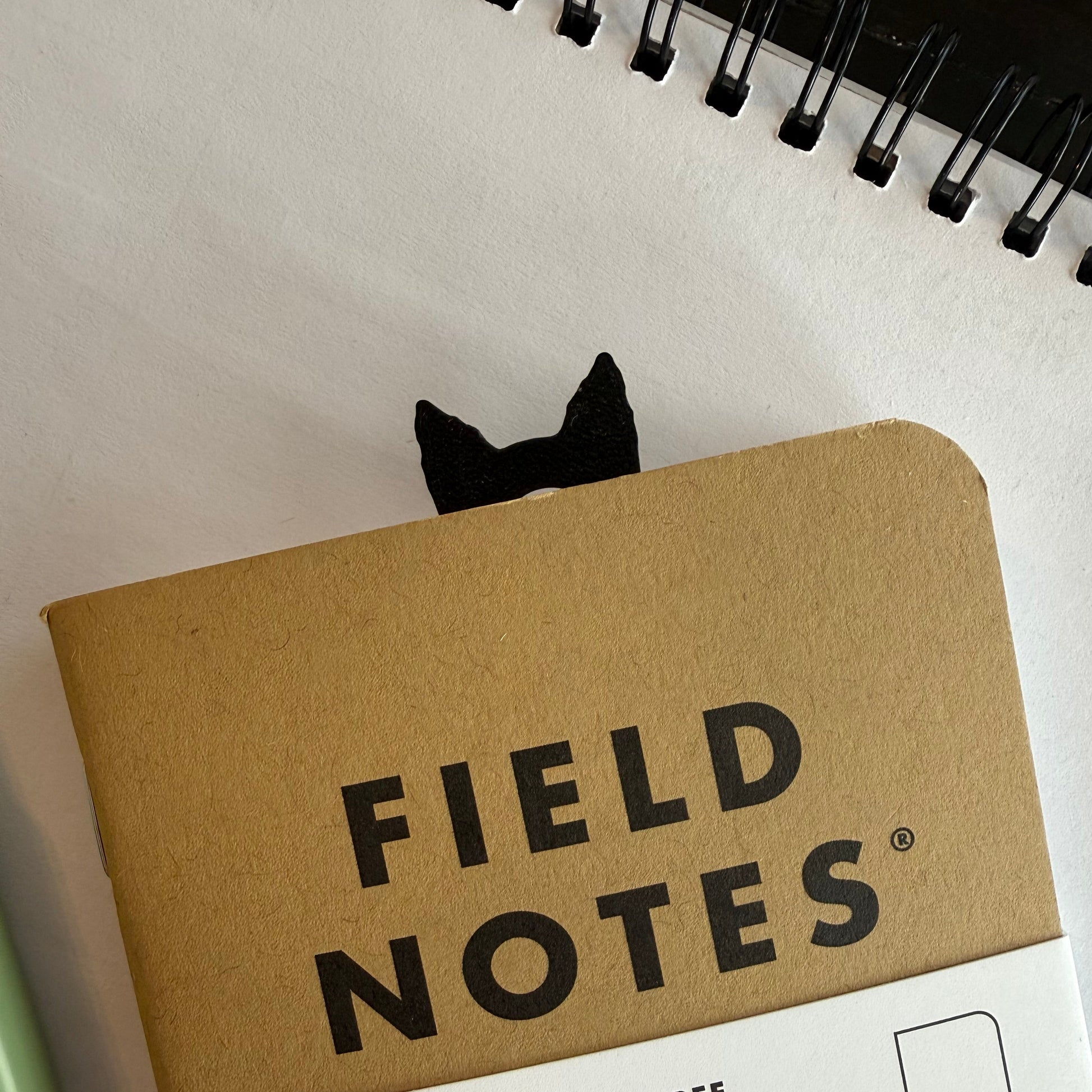 Field Notes notebook with packaging on a white surface