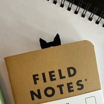 Field Notes notebook with packaging on a white surface